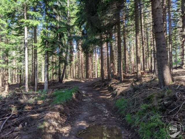 Südtirol Mölten Wanderweg