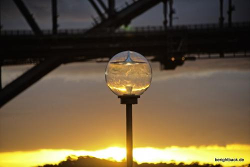Sydney Sundown im Goldfischglas